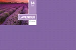 Serwety_skladane_500_szt_15_llavender.png
