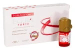 Equia Forte Coat 4 ml GC