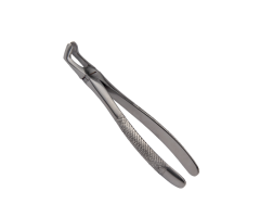 Kleszcze Berten fig. 79 - dolny ząb mądrości.jpg