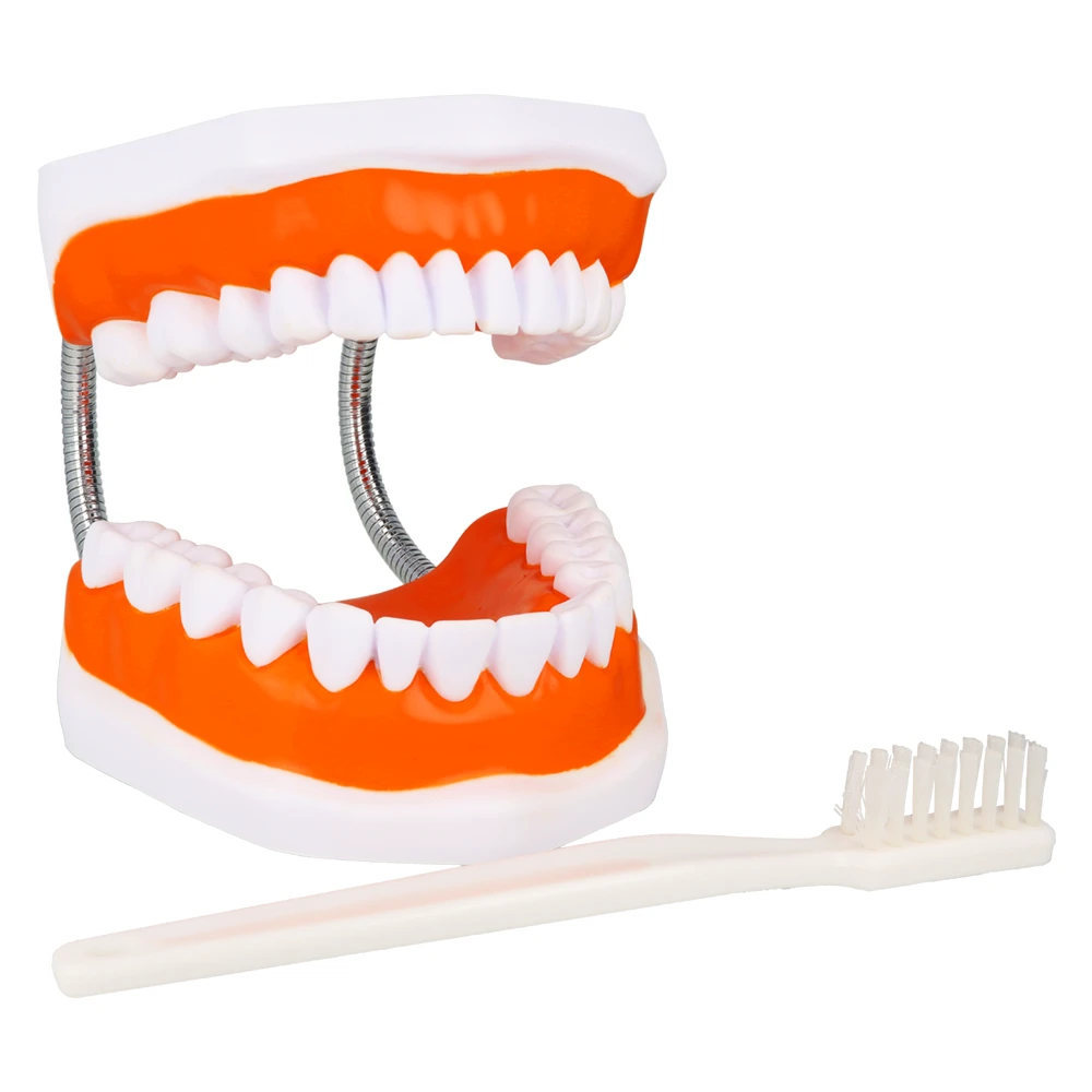 Model_uzebienia_+_szczoteczka_Hager_2.webp