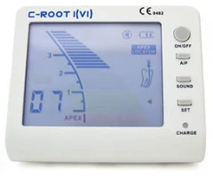 Endometr C-root 1(VI)_2.webp