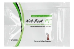 Well-Root PT_2_poziom.webp