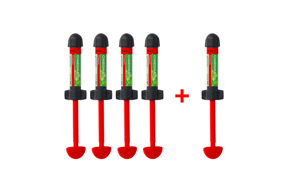 Charisma Classic 4 g (A1 x 2 szt., A2, A3 x 2 szt.) + Charisma Classic 4 g (A2) Kulzer.png
