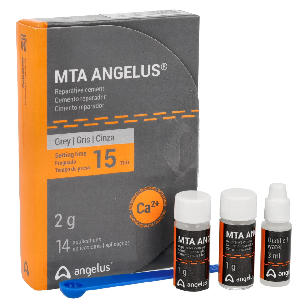 mta_2.webp