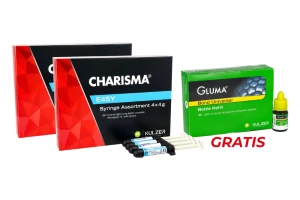 Charisma E4SY zestaw (4 g x 4 szt.) x 2 szt. + Gluma Bond Universal 4 ml Kulzer