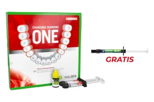 Charisma Diamond ONE zestaw (4 g x 2 szt. + Gluma Bond) + Charisma Bulk Flow ONE 2 g Kulzer