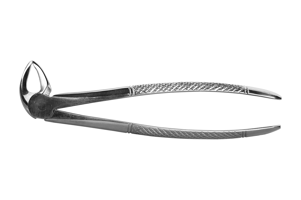 Kleszcze_Berten_fig_33_dolne_korzenie.png