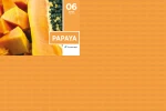 Serwety_skladane_500_szt_06_Papaya.png