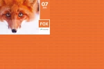 Serwety_skladane_500_szt_07_Fox.png
