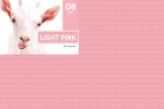 Serwety_skladane_500_szt_08_Light_Pink.png