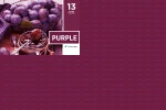 Serwety_skladane_500_szt_13_Purple.png