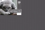 Serwety_skladane_500_szt_28_Anthracite.png
