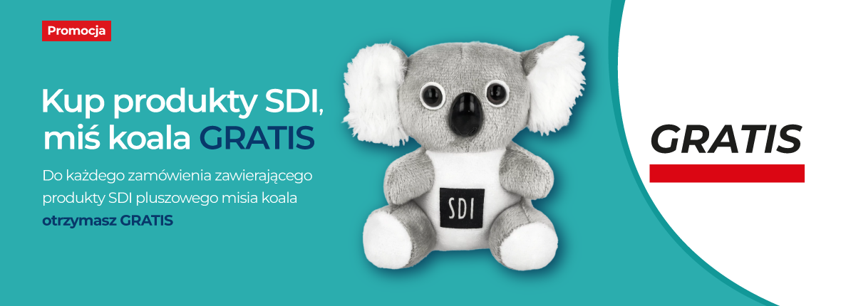 miś koala